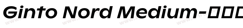 Ginto Nord Medium字体转换 Ginto Nord Medium字体转换